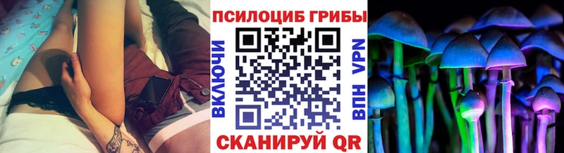 Галлюциногенные грибы мухоморы Новочебоксарск